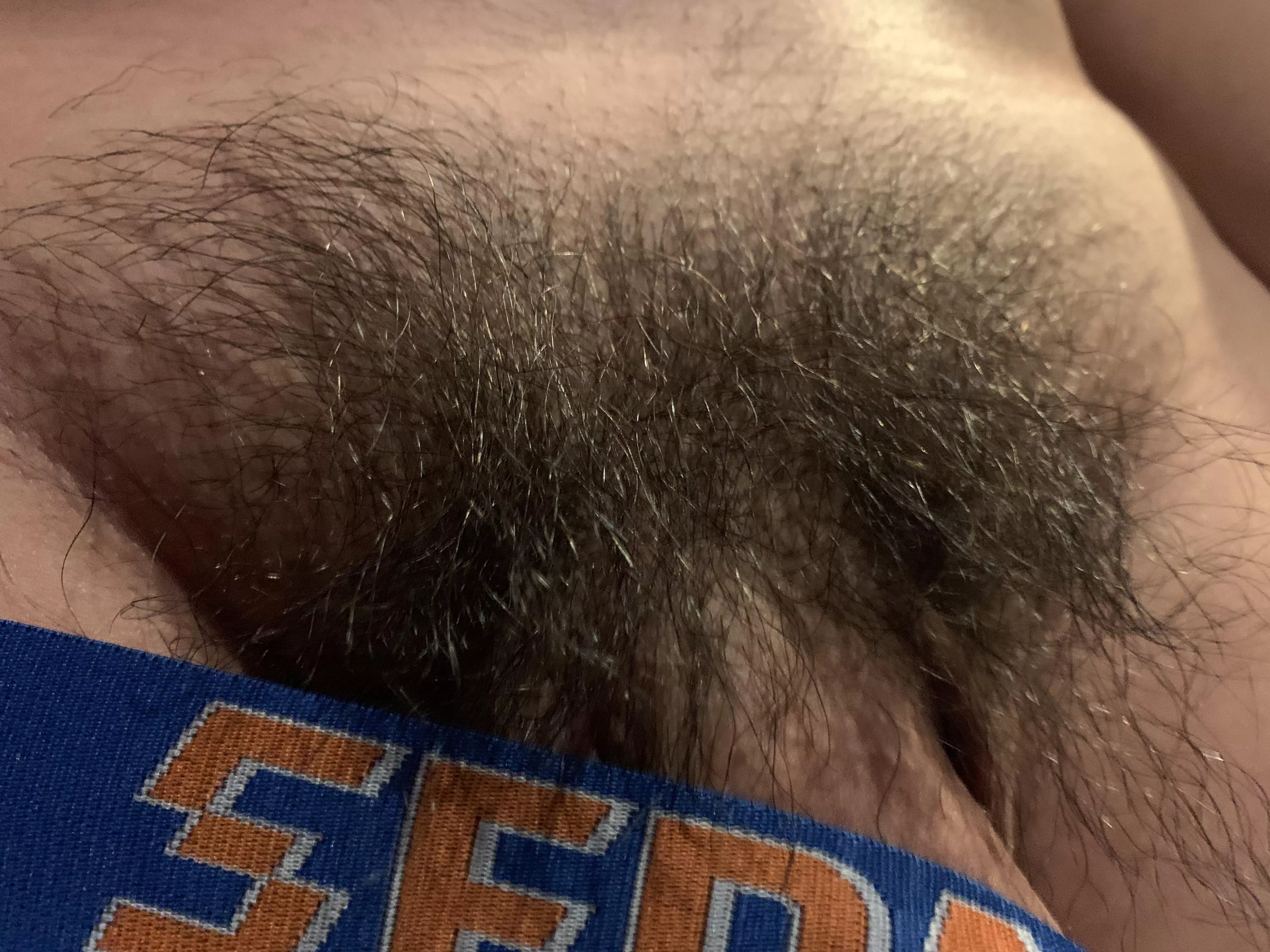 Smooth bro with wild bush…not the best 🥺, but just wanted to share my progress on no shaving Nov😘