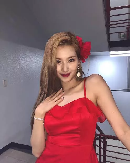 So horny for Sana from the Kpop group TWICE. Can someone please help me cum for her?