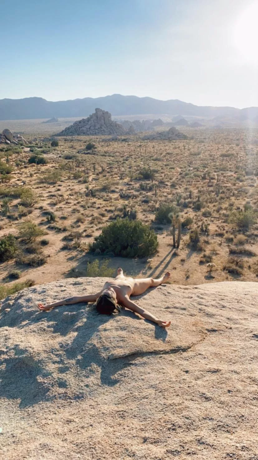 Solar penetration is the best kind and Joshua Tree does it best!