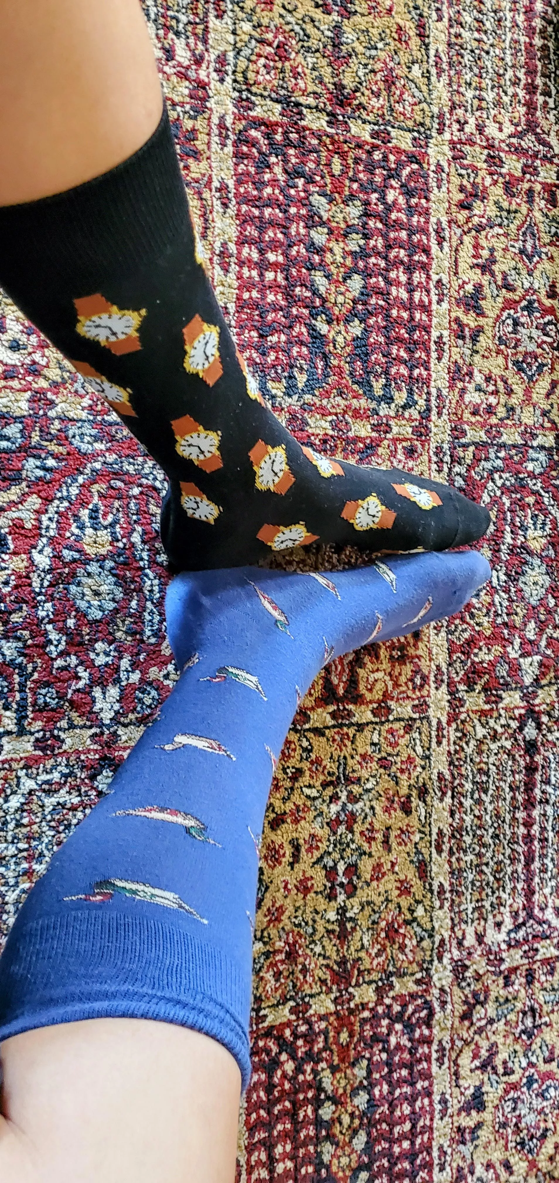 Some fun socks today