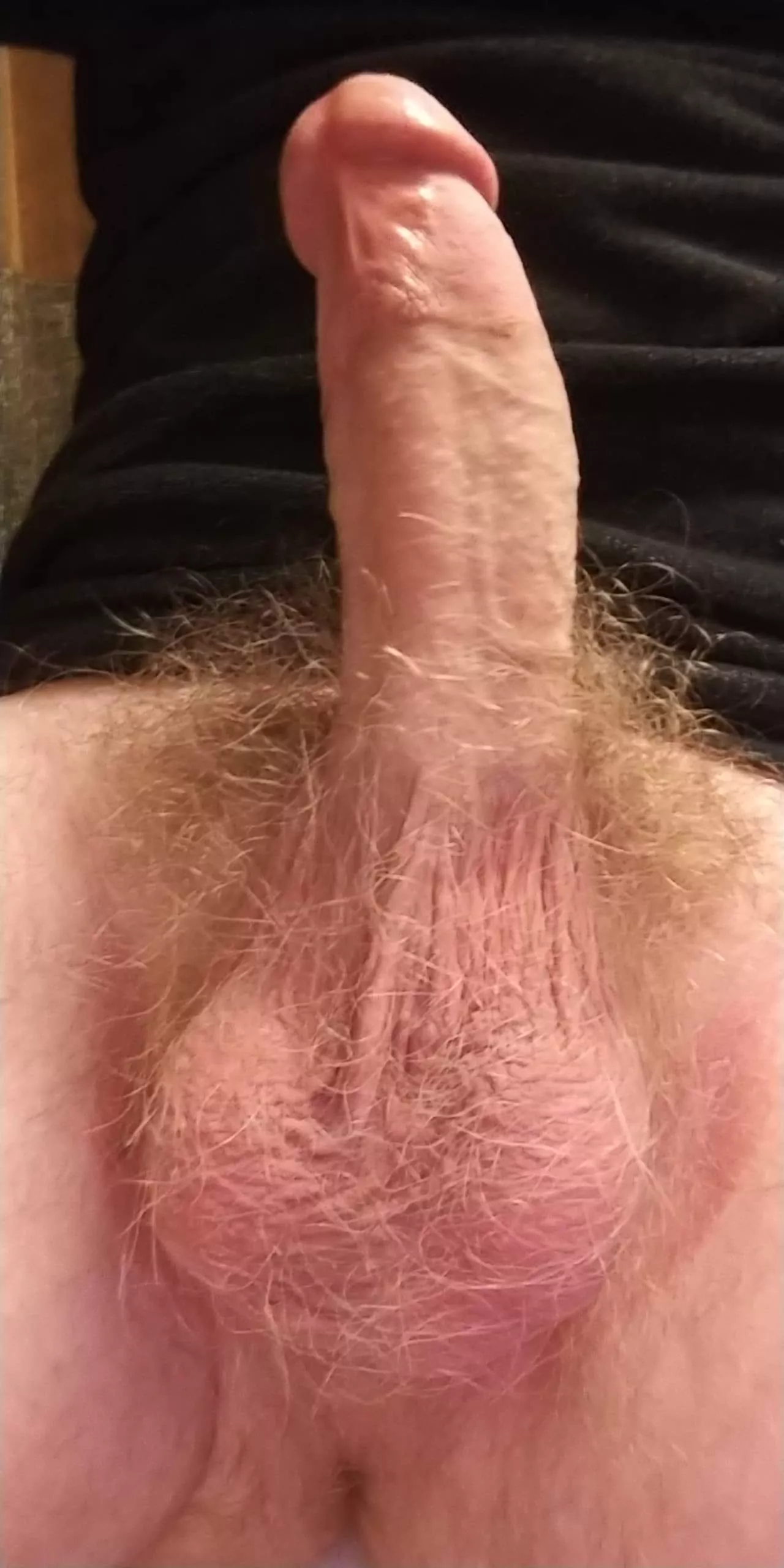 Sometimes people hate on my pubes but maybe some people here will enjoy them.