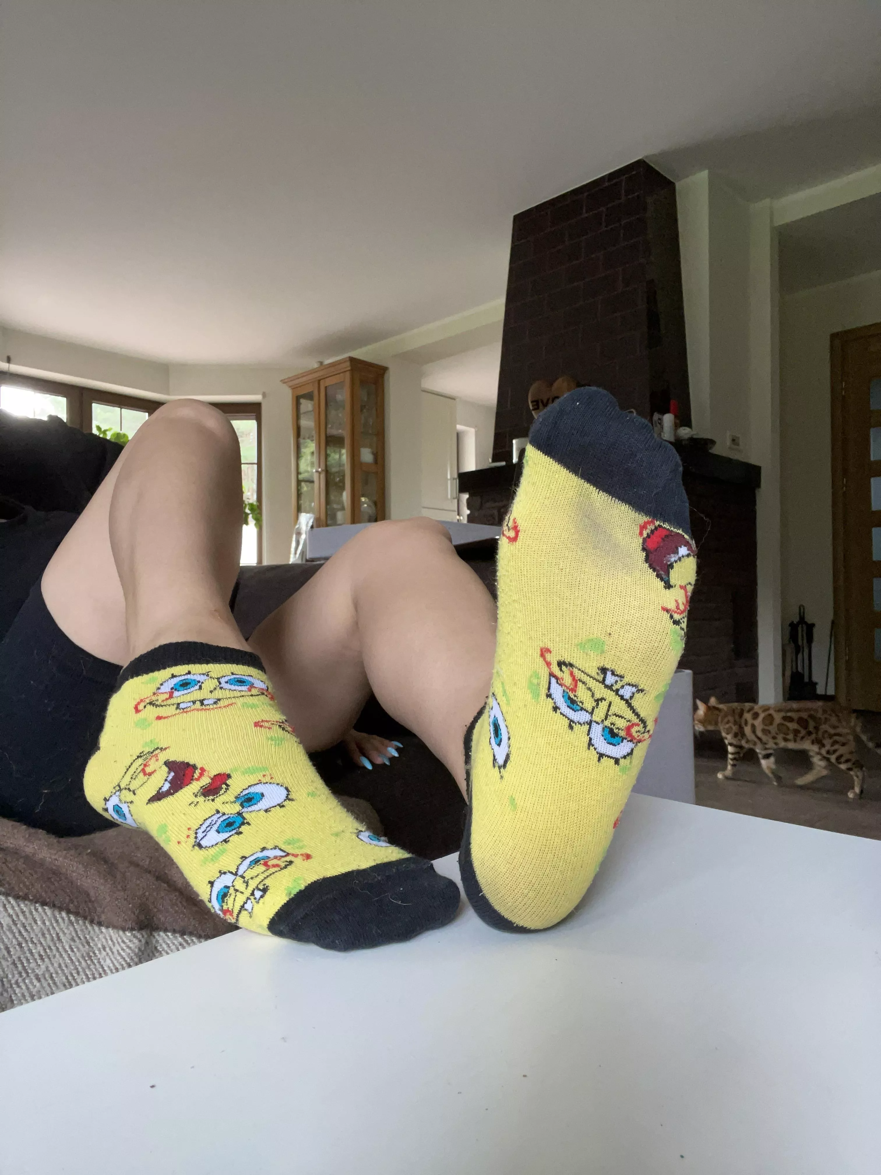 Spongebob sockies! 🤪