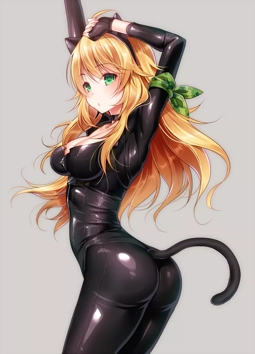 Spy Catsuit Miki (Hizuki Akira) [Idolmaster]