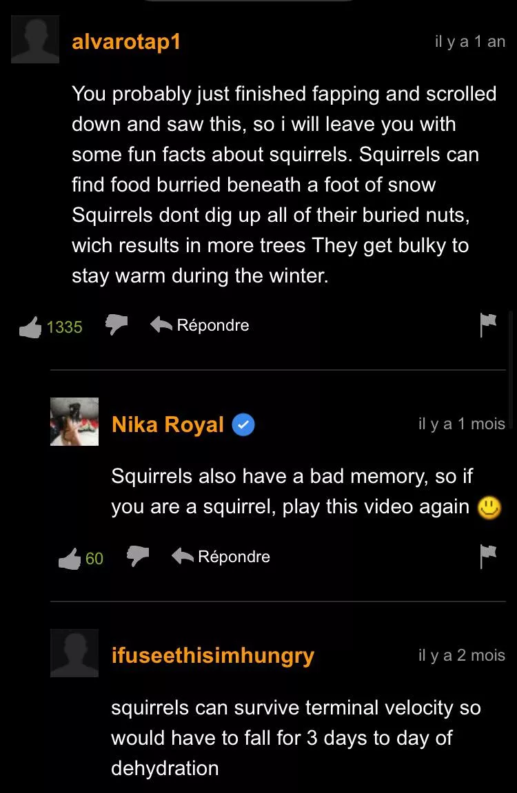 Squirrels