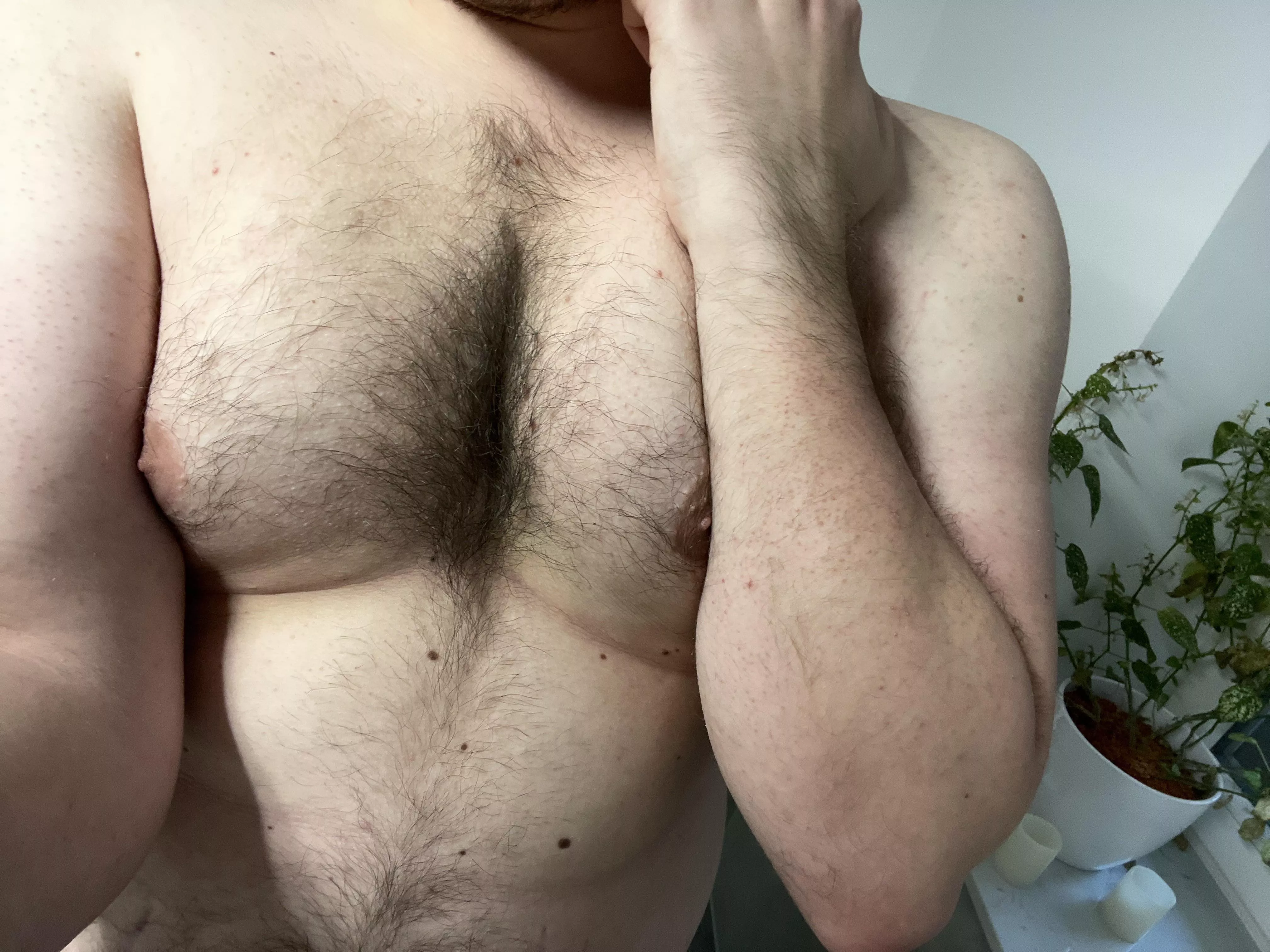 Still growing to become a proper bear one day. How am I doing so far?