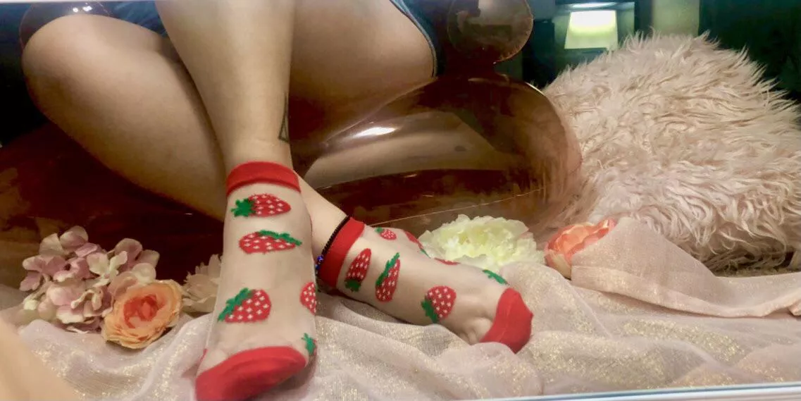 🍓Strawberry mesh socks! What do you think? 🥰