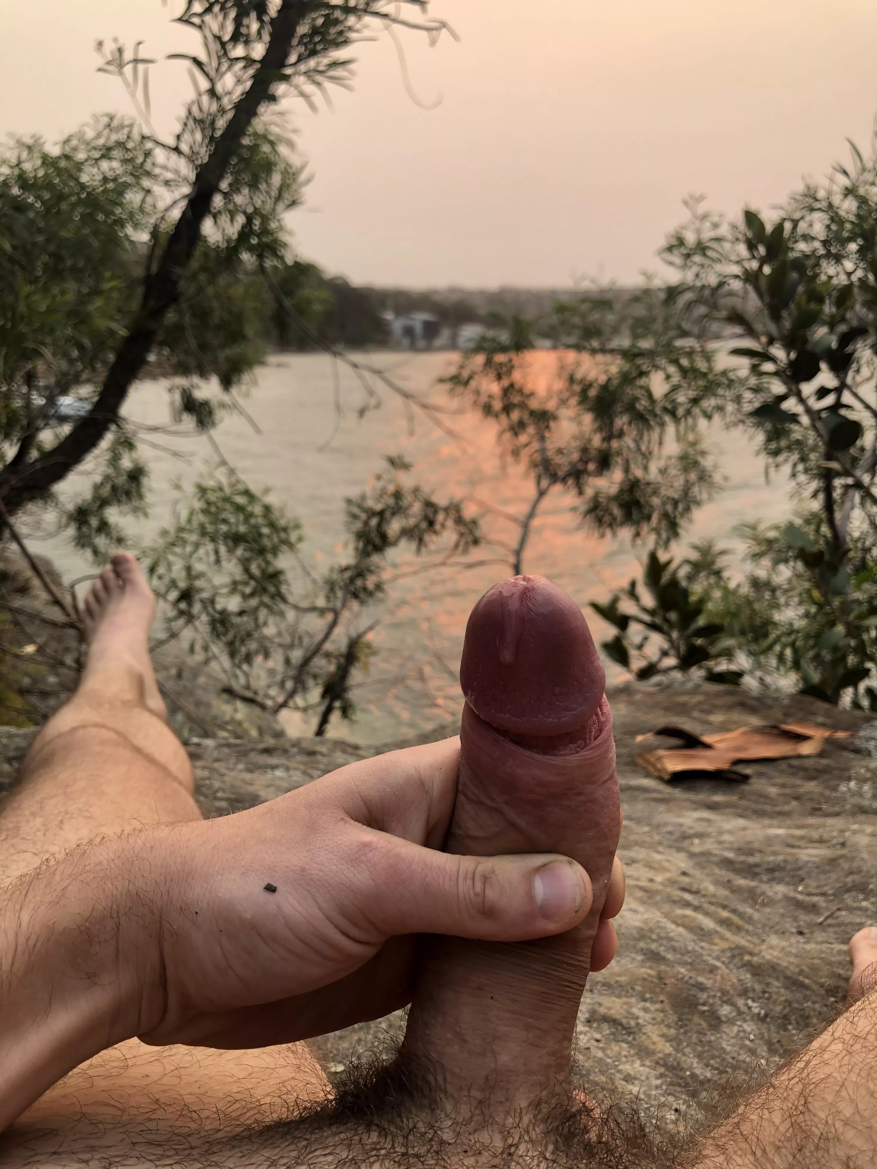 Sunset & precum