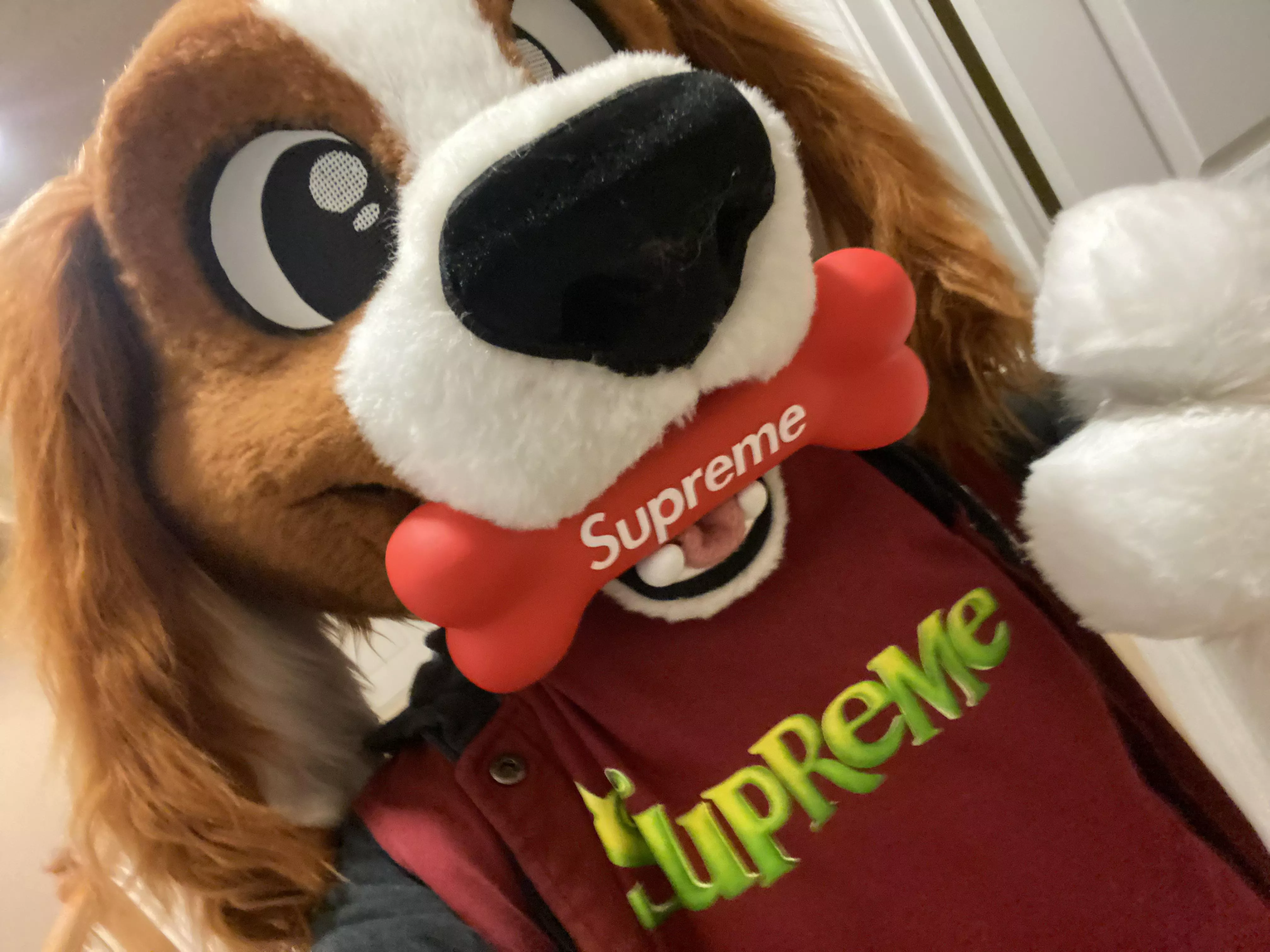 Supreme Pupper