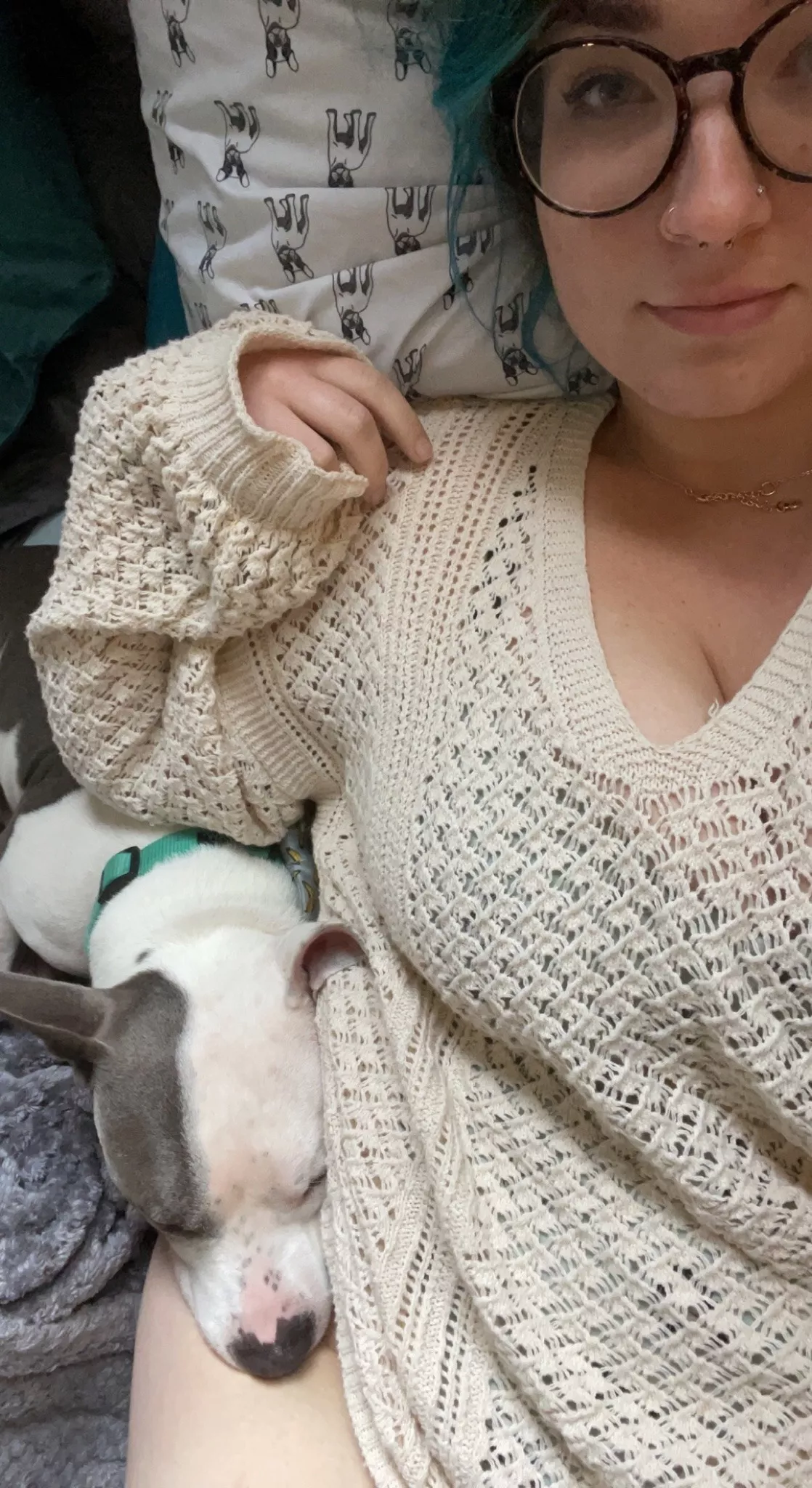 Sweater, puppy