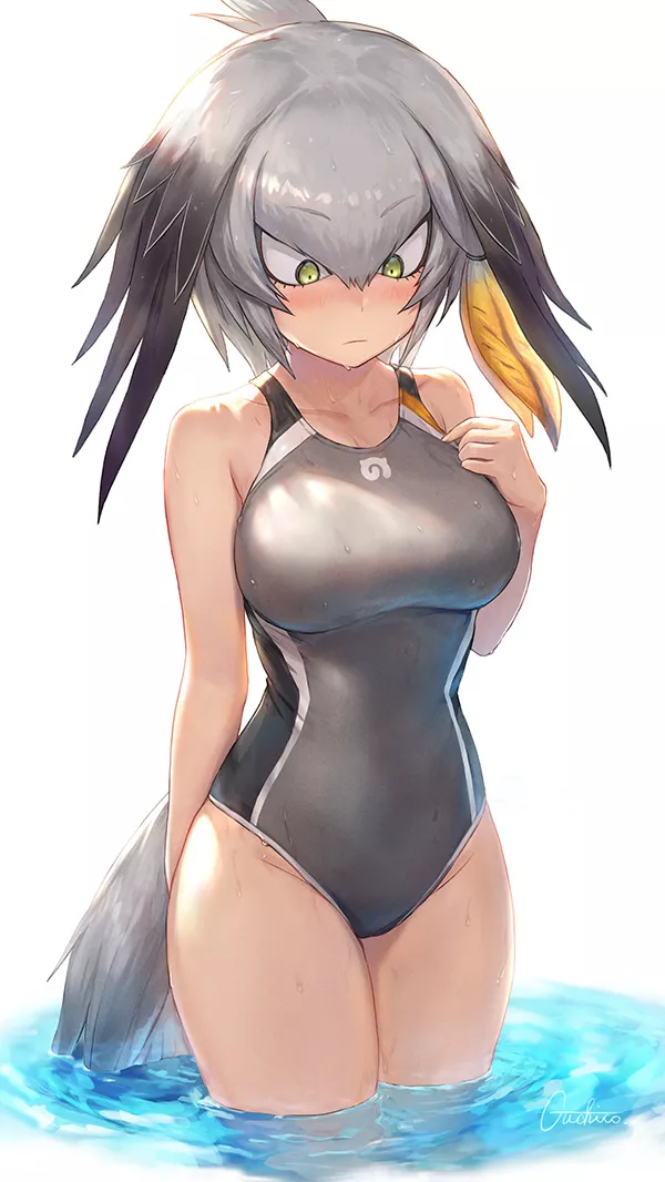 Swimsuit Shoebill (Guchico) [Kemono Friends]