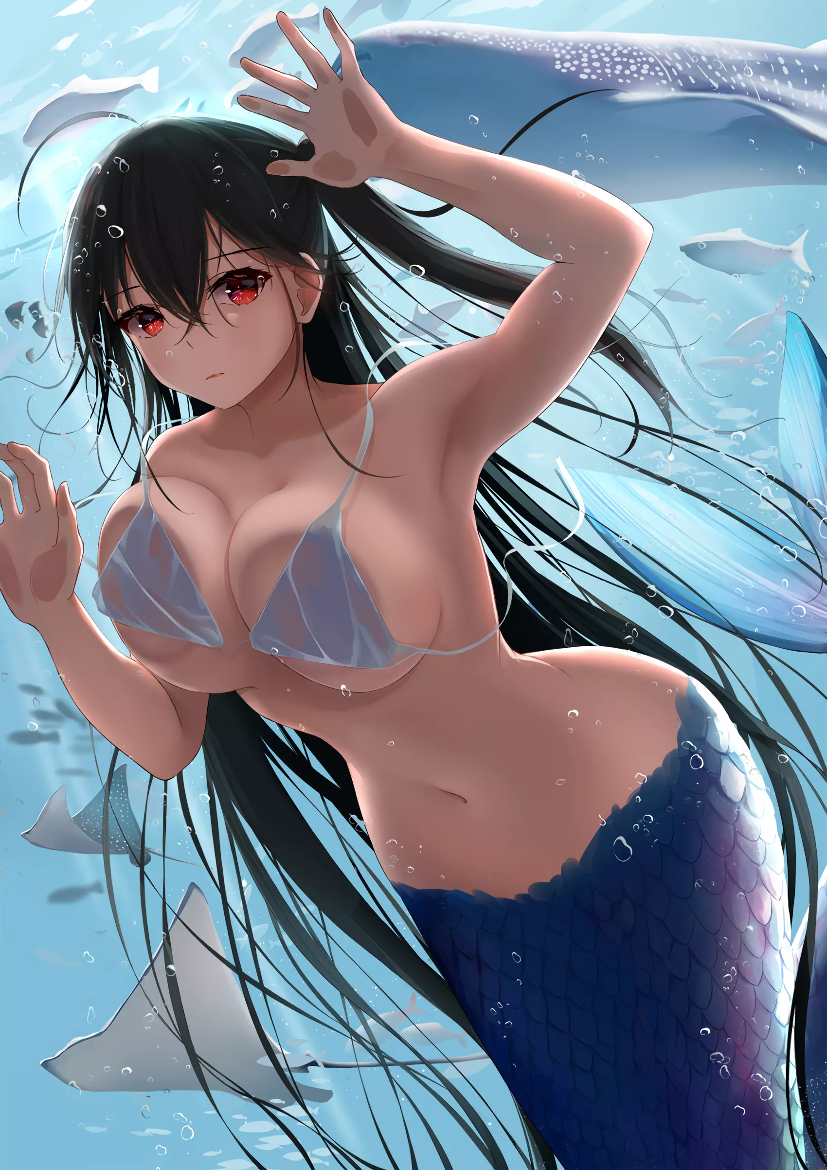 Taihou in the aquarium (しがつ) [Azur Lane]