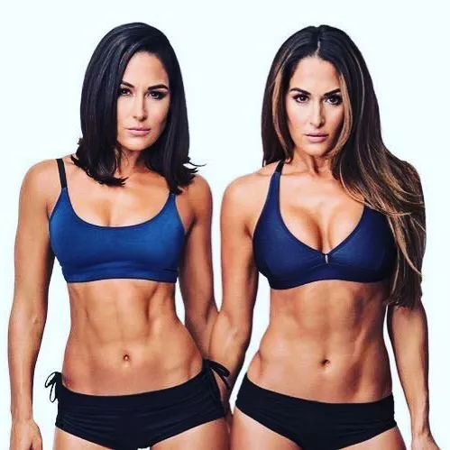 The Bella twins figure 🤤