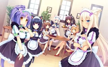 the best catgirls. prove me wrong 🥰😍