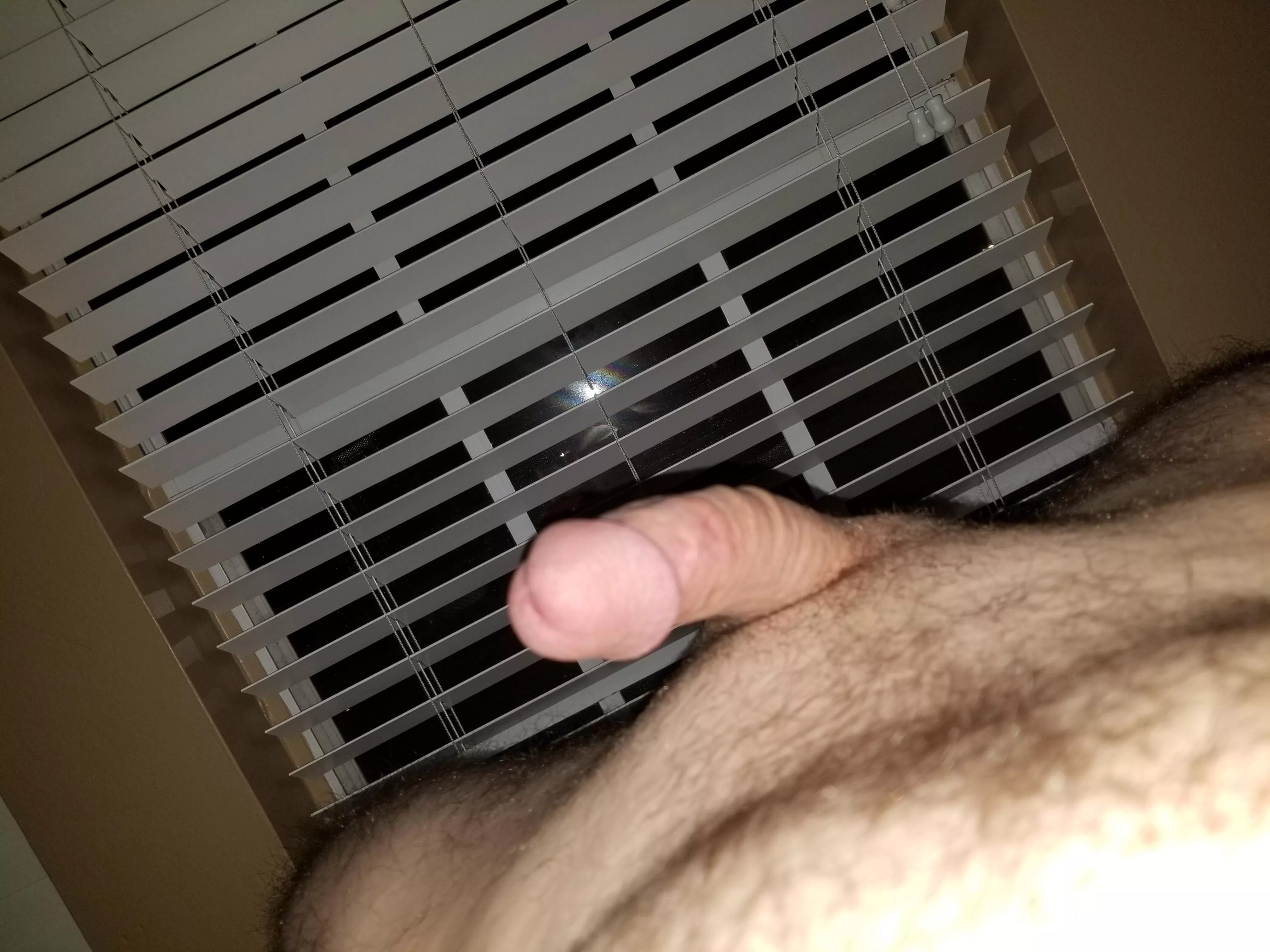 The (m)guy next door