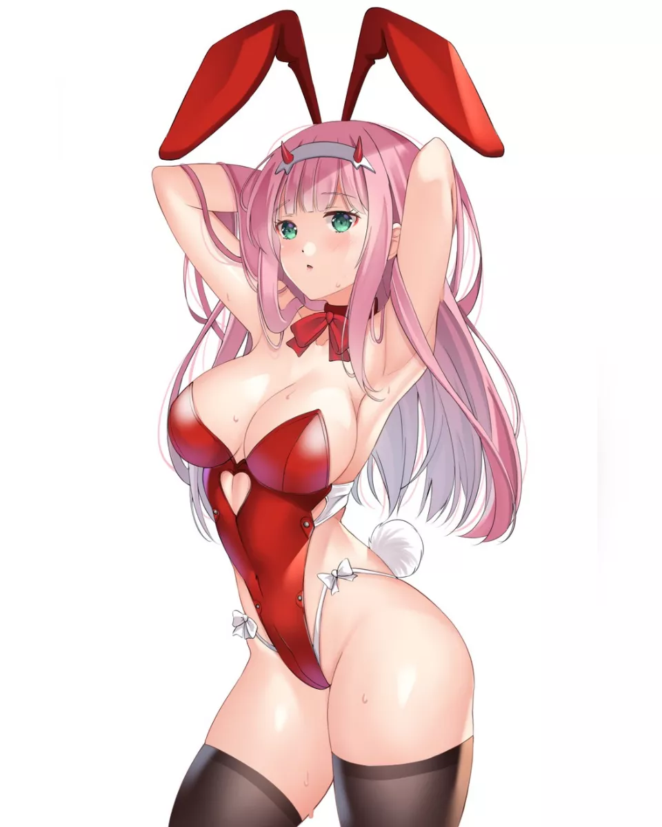 The real bunny