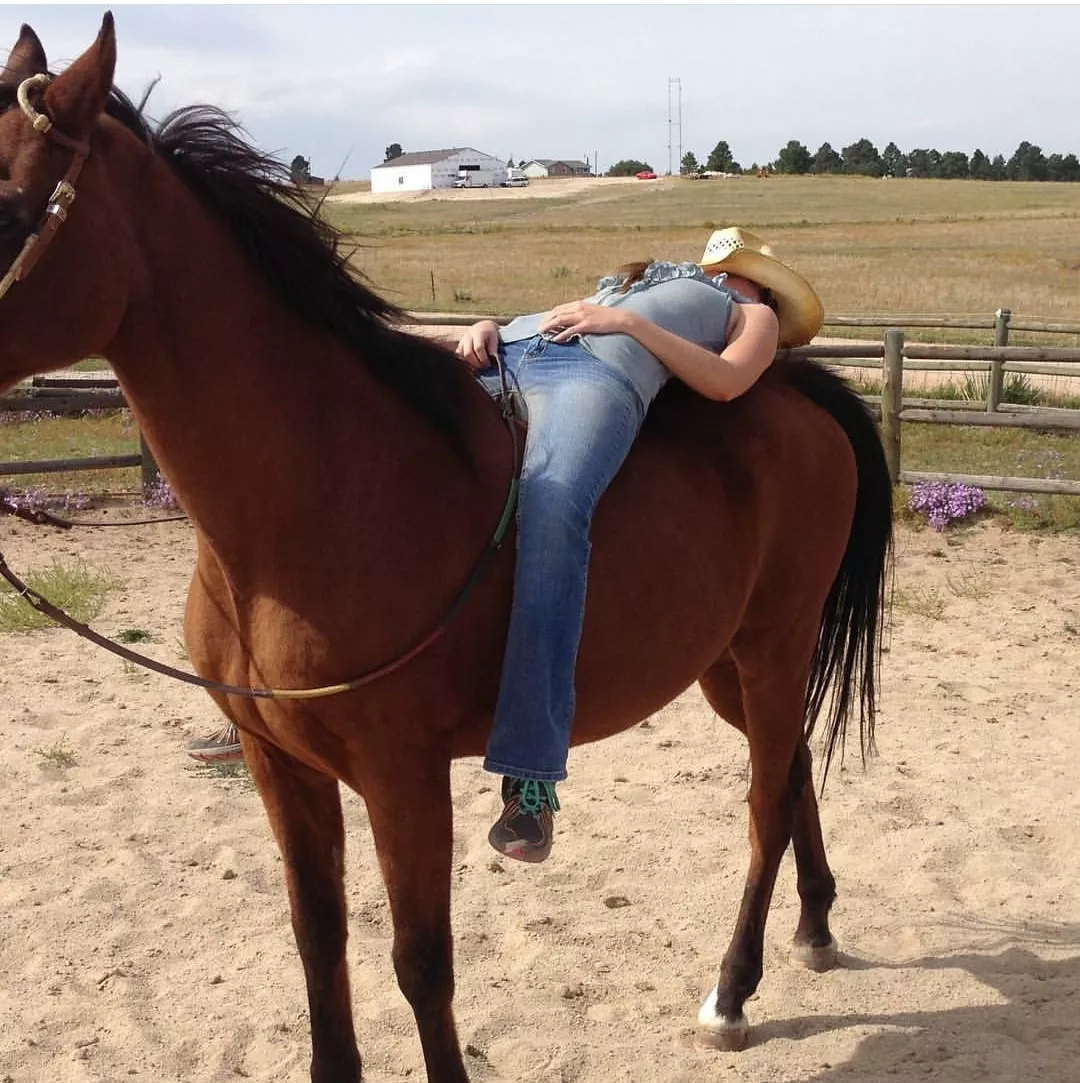 There are only a few things better than napping on a horse.