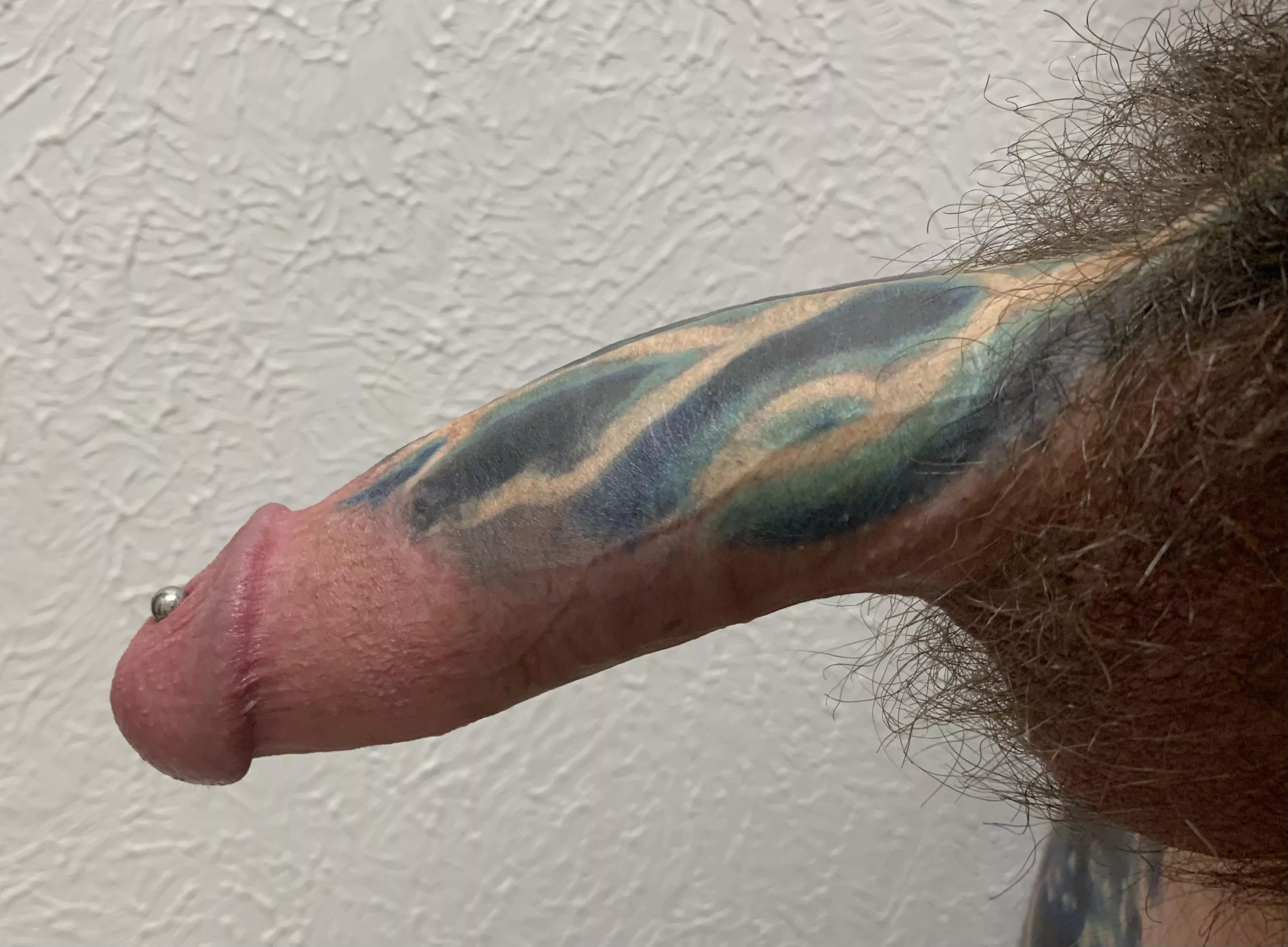 Thinking about shaving the bush. What do you think?