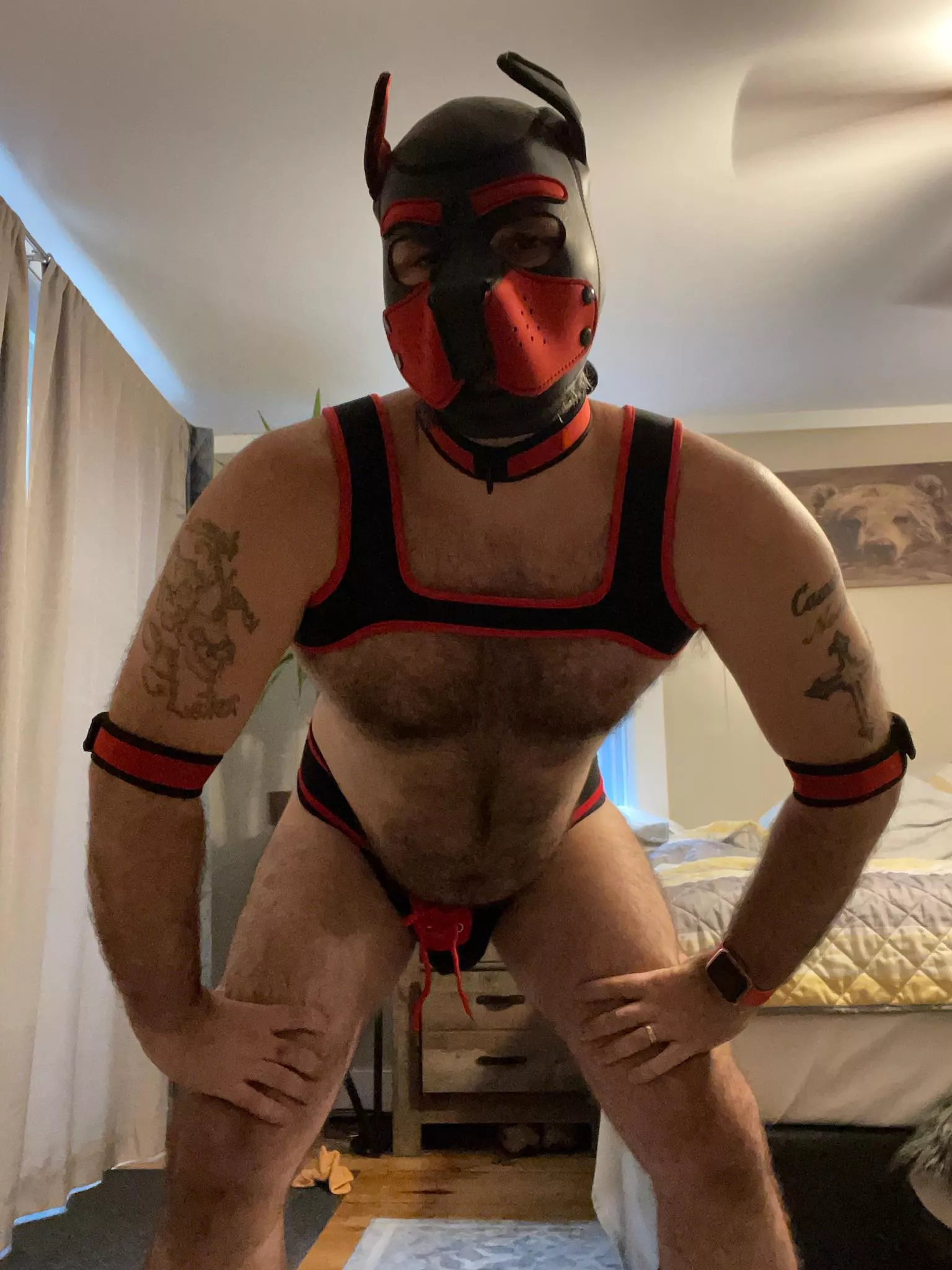 Thinking of adding more pup play content?