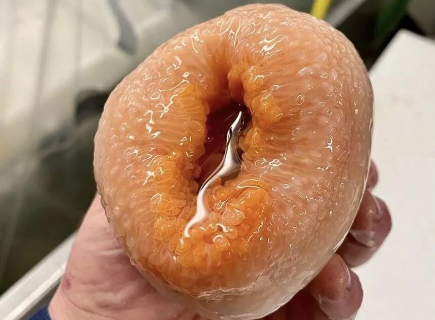 This donut