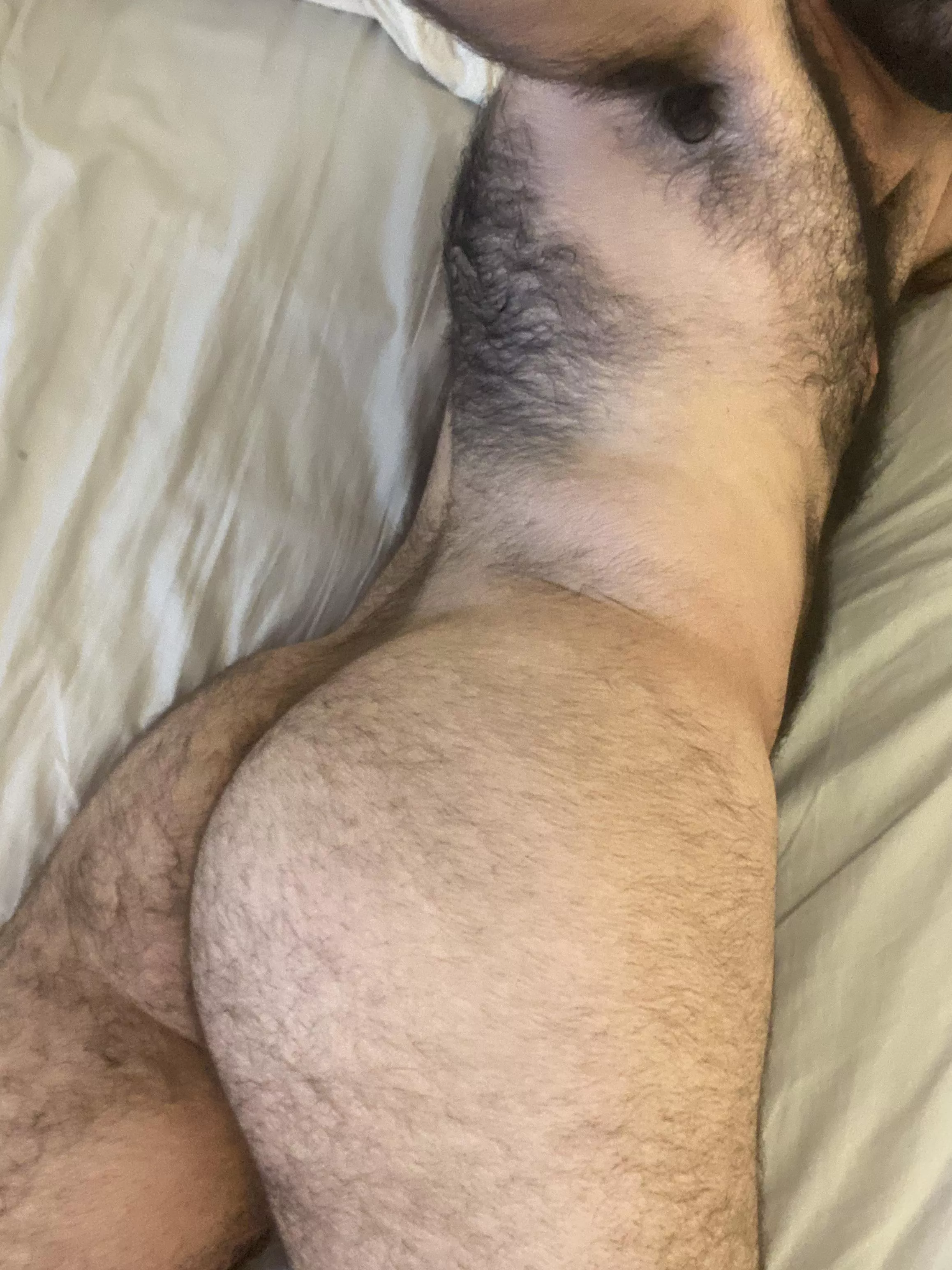 This furry ass needs to get taken care of