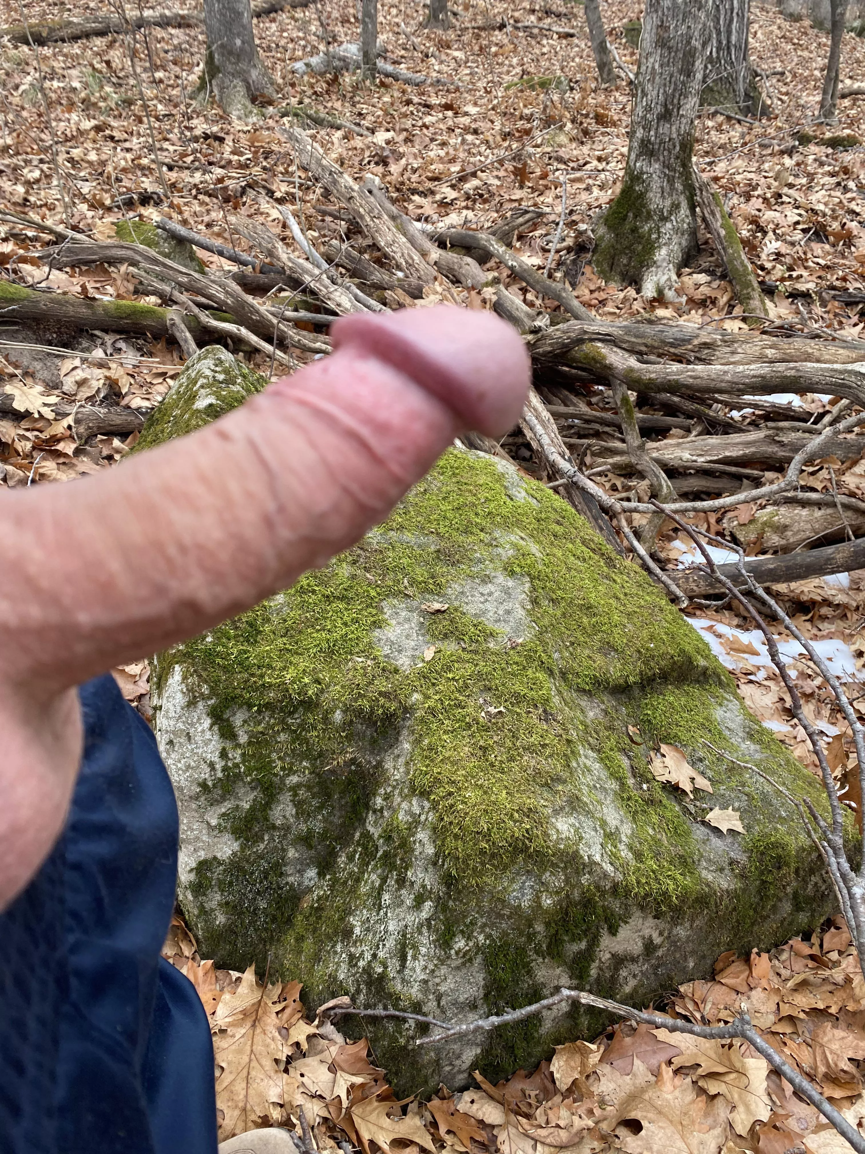 This rock is green with envy!!