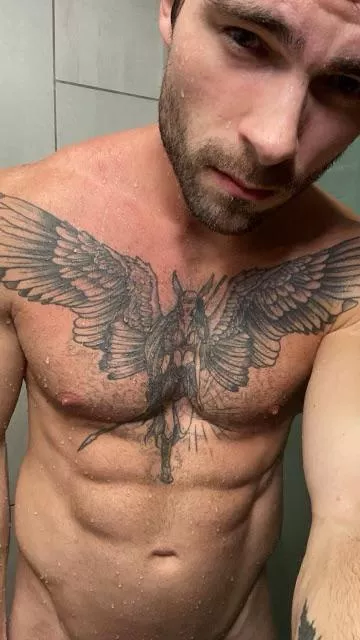 Thoughts on the chest piece ?