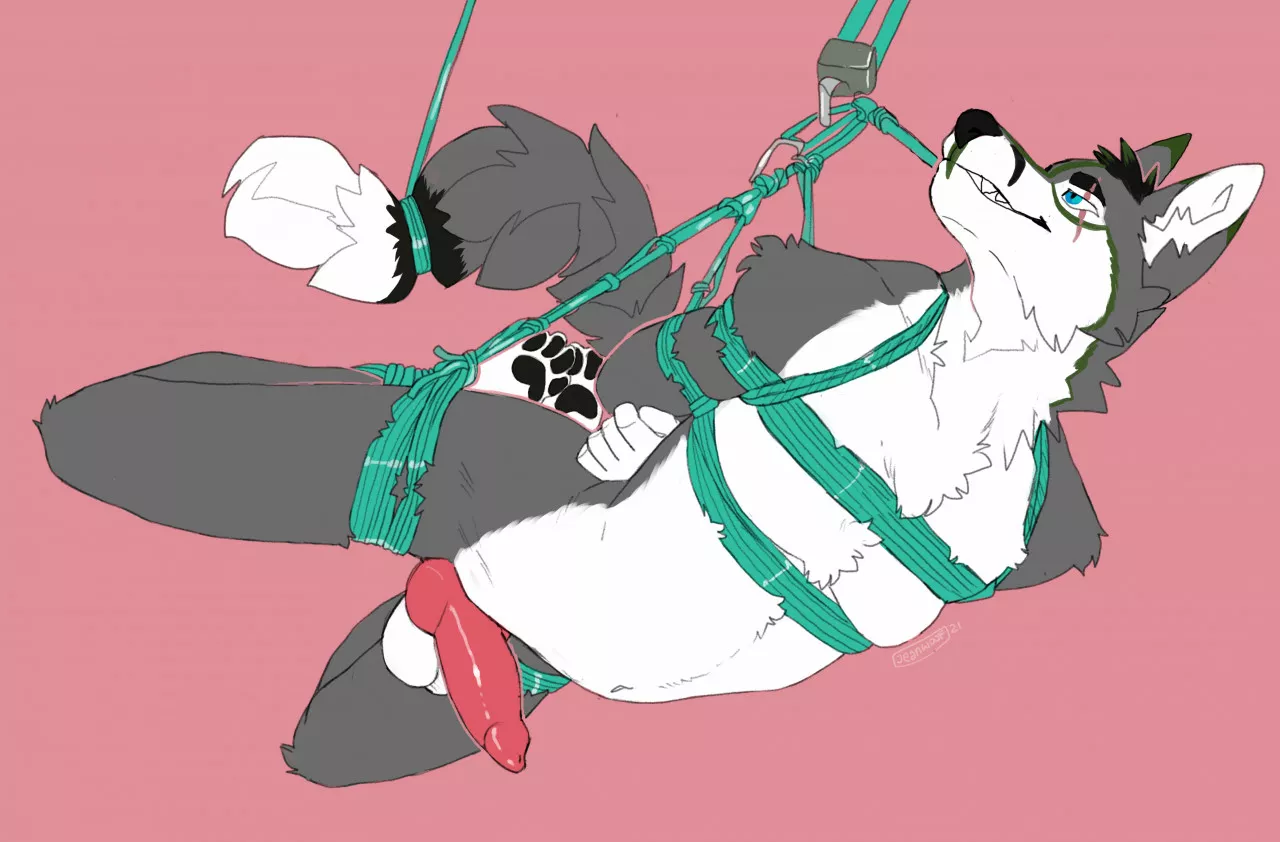 Tied Up (JeanWoof)