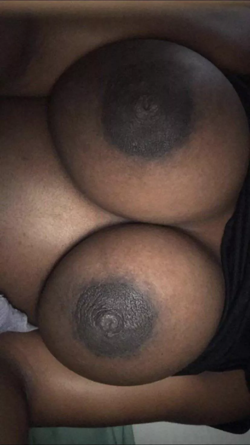 titty tuesday