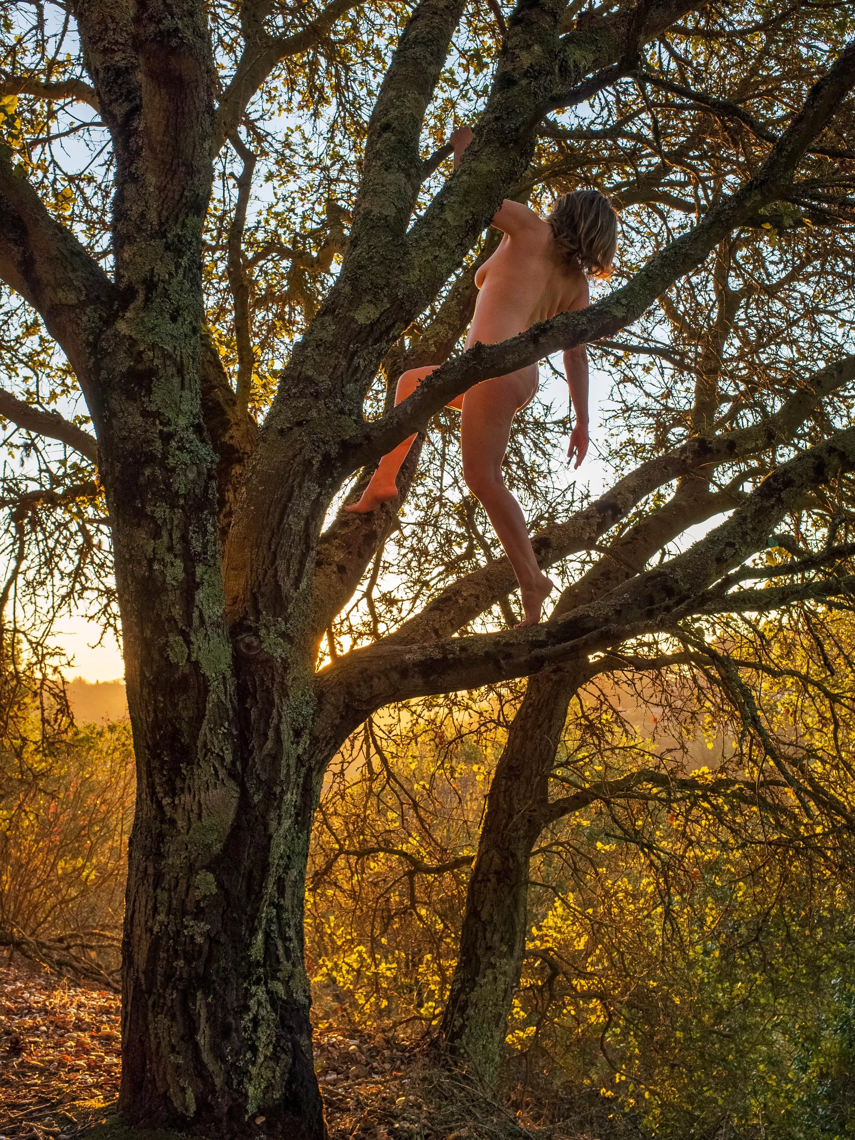 🌳Tree Pose Tuesday🌳