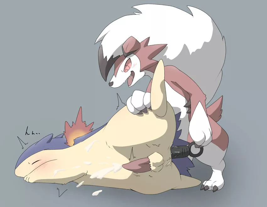 Typhlosion & Lycanroc (Kiteshiko)