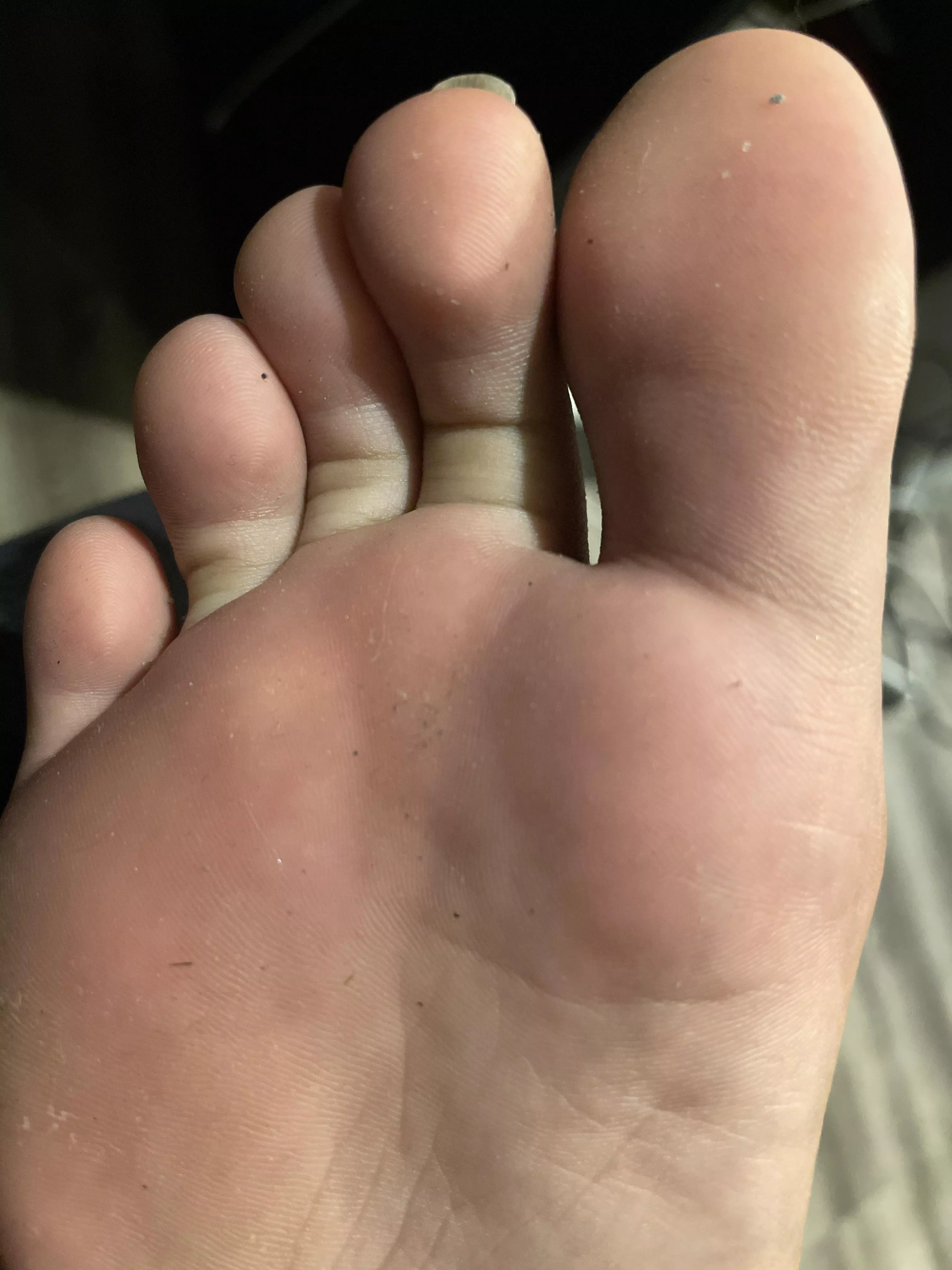 Up close and personal, sniff them