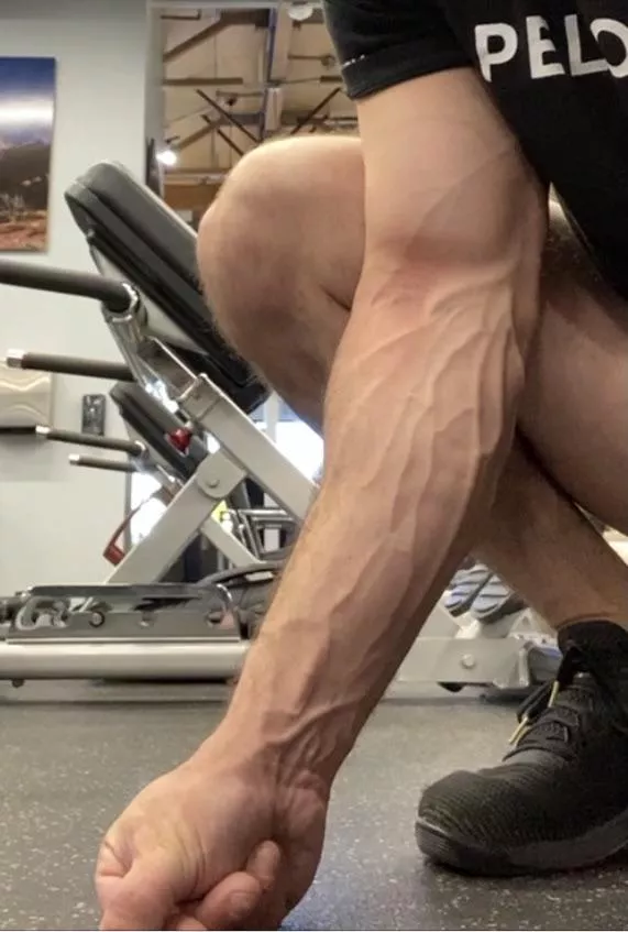 Vascular morning