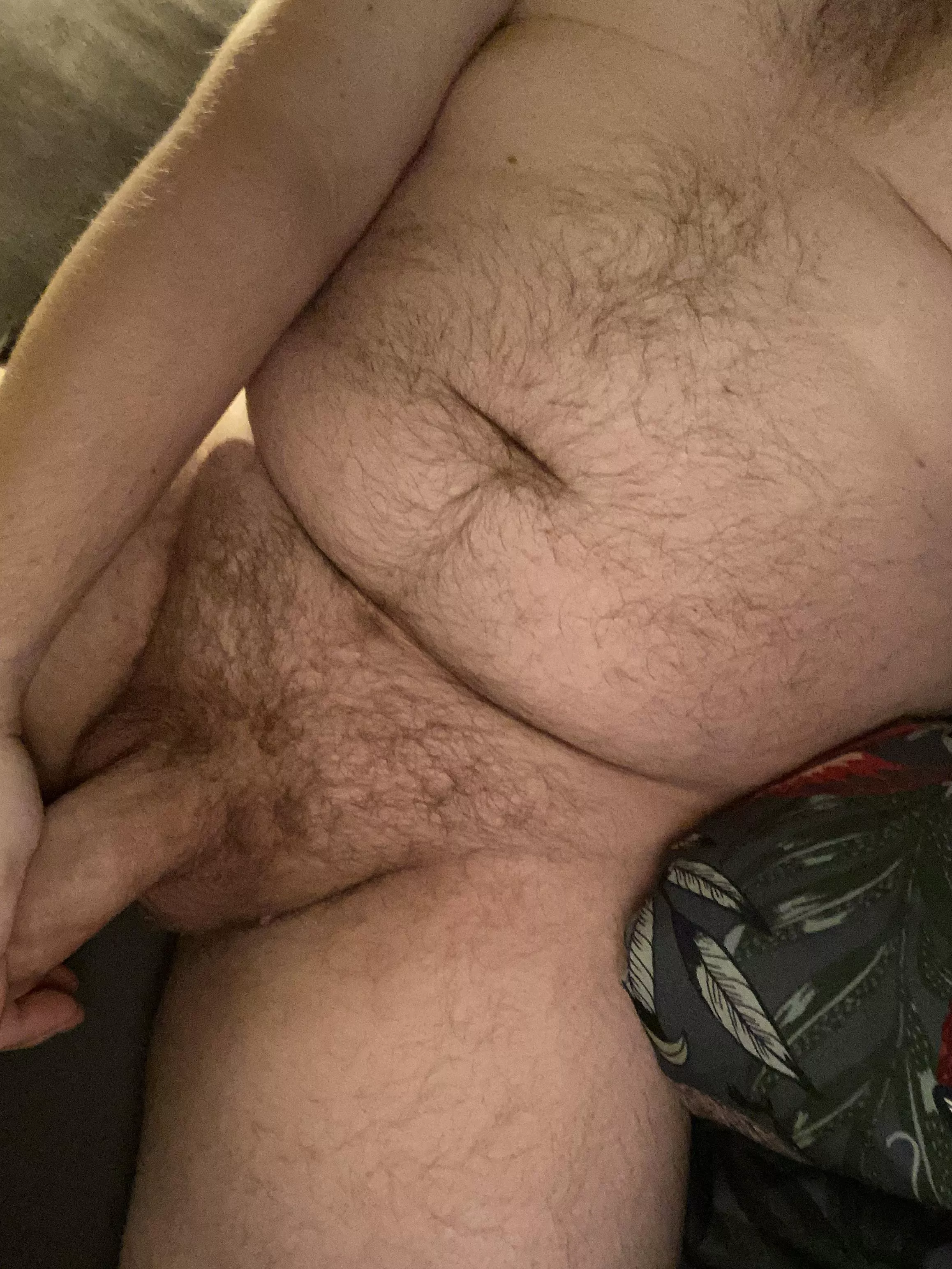 Verbal dom bear daddy for kinky sub guys!