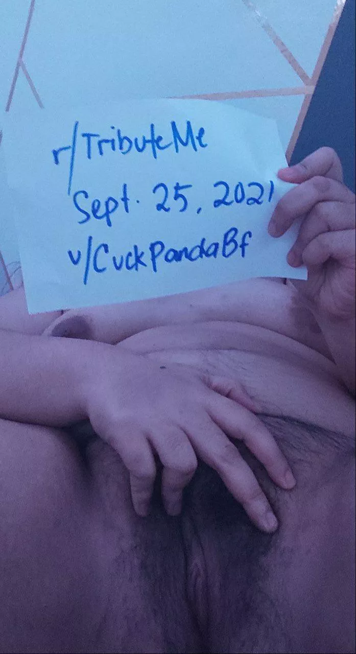 [verification]