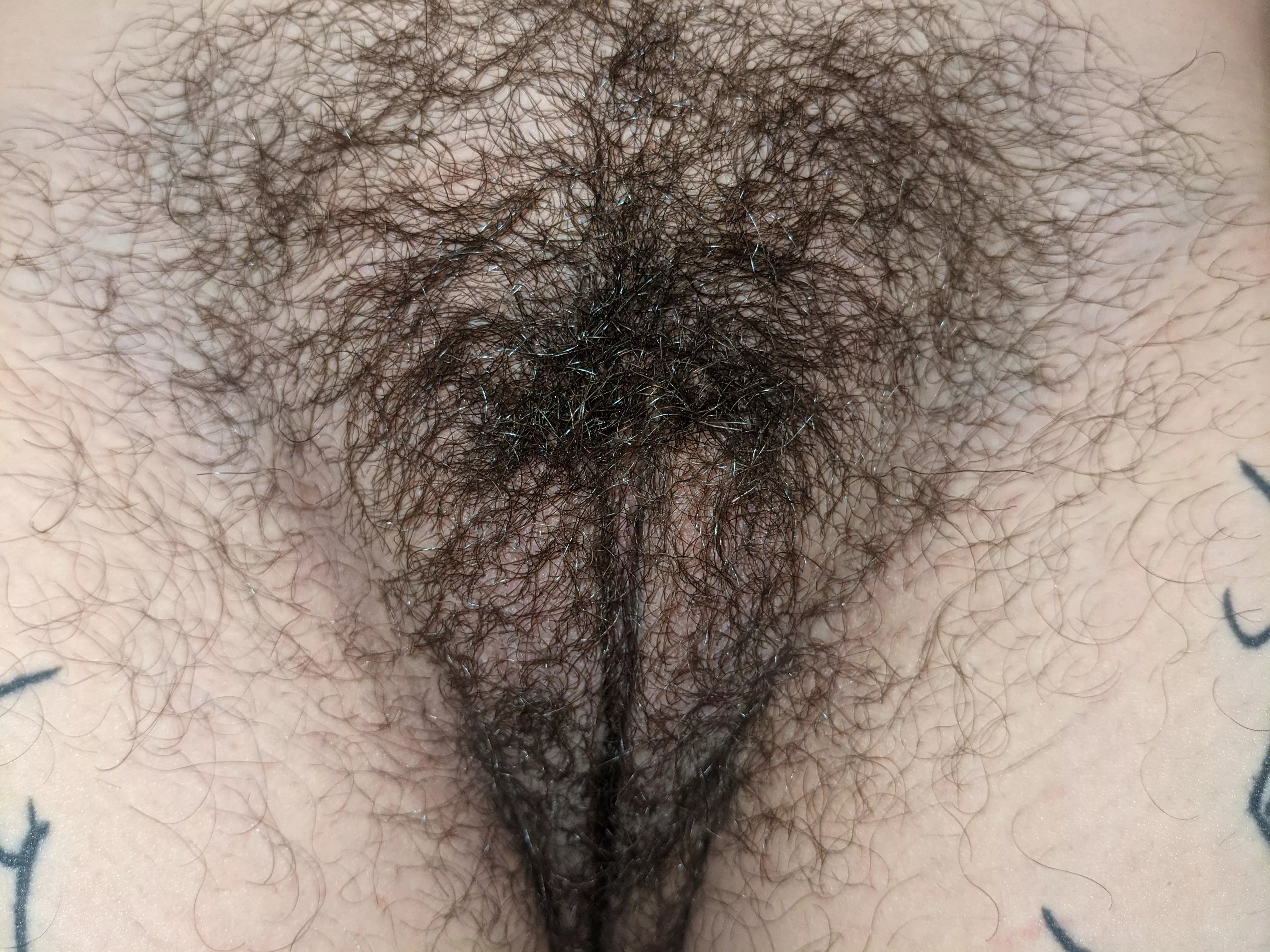 Very up close of my pretty hairy pussy. What would you do to it? [Oc] [f]