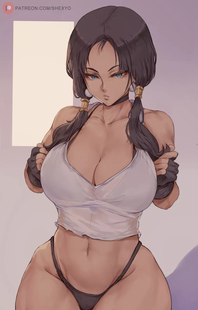 Videl (Shexyo) [Dragon Ball]