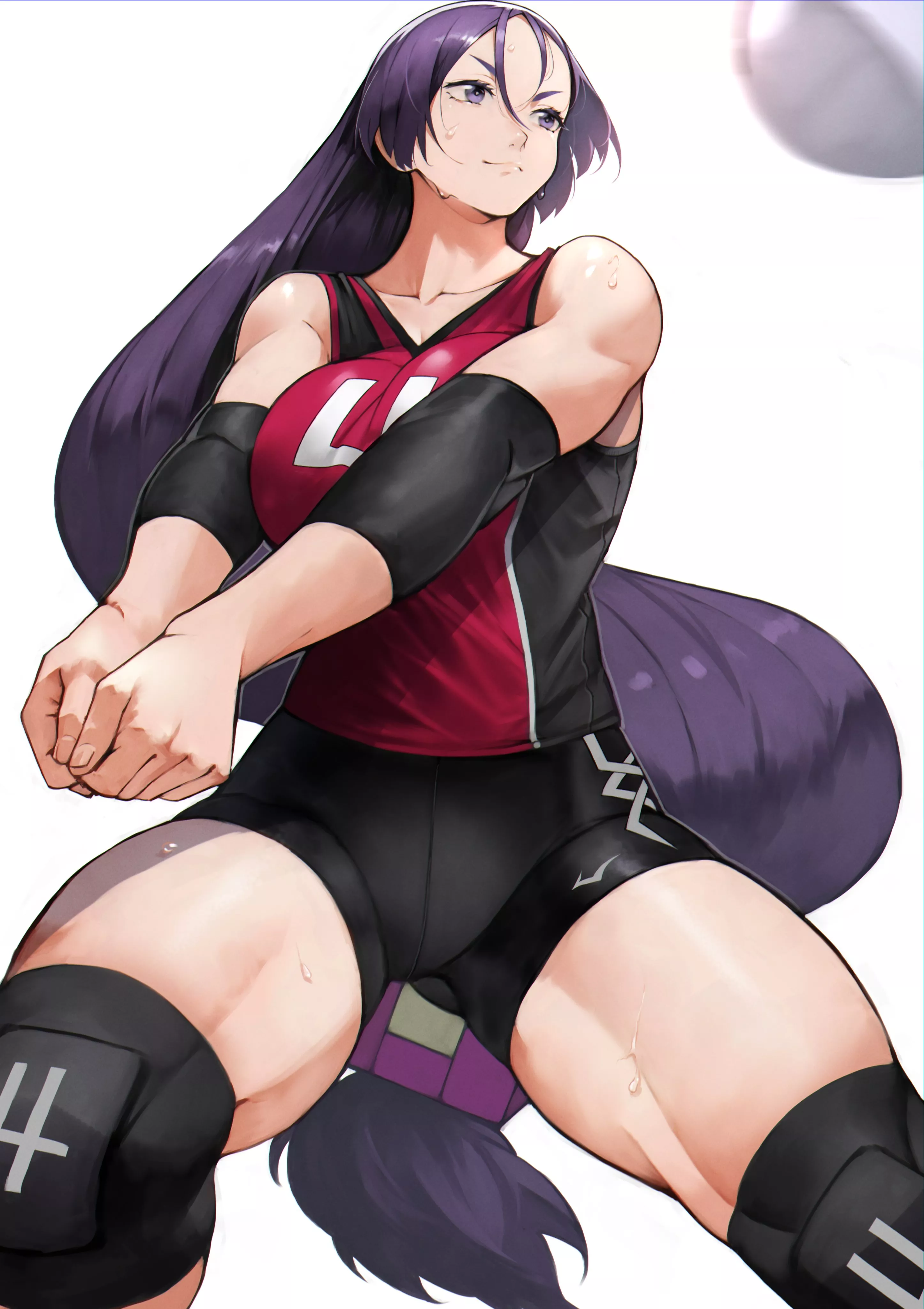 Volleyball Raikou.