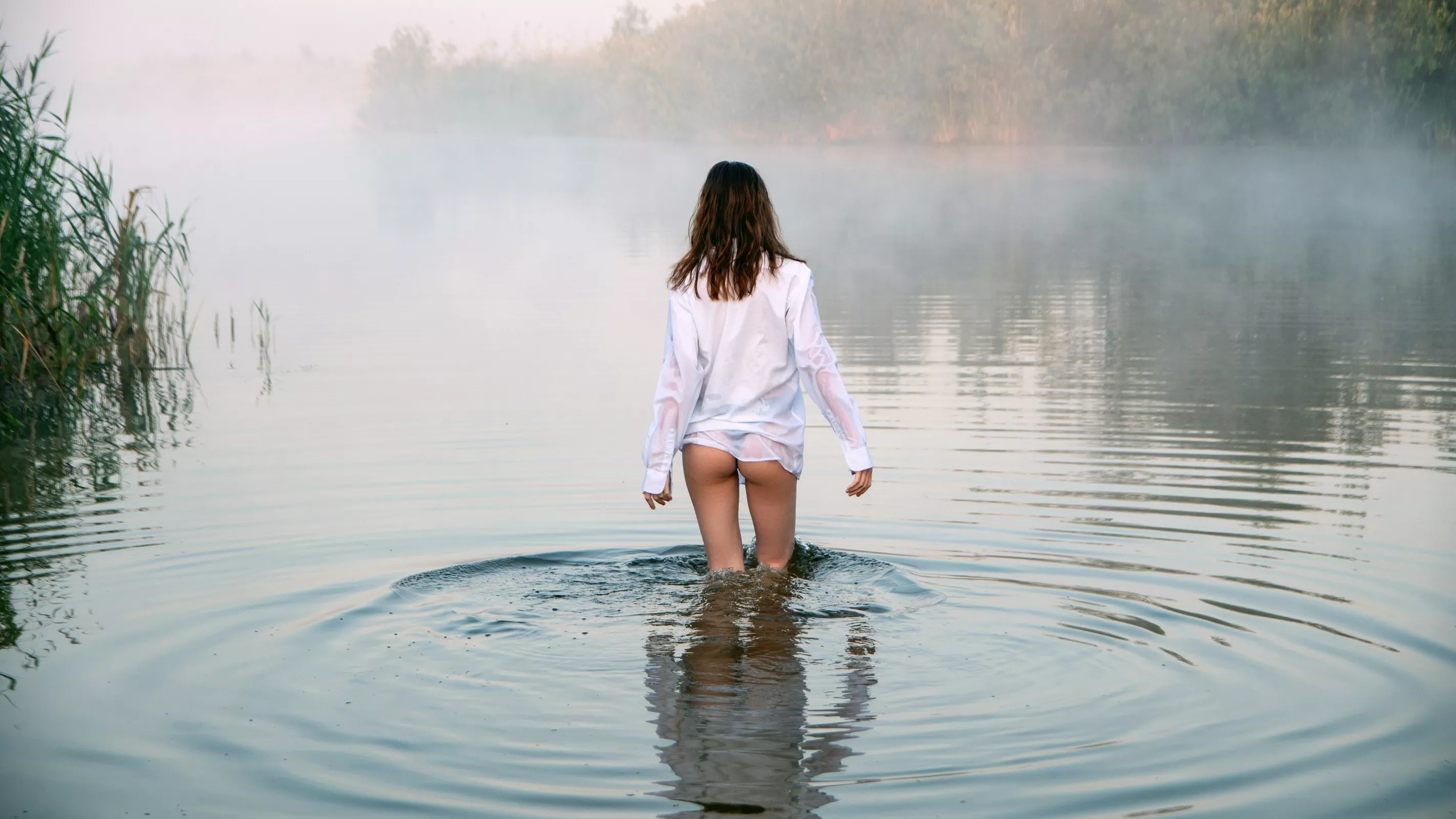 wading through a pond on a foggy day