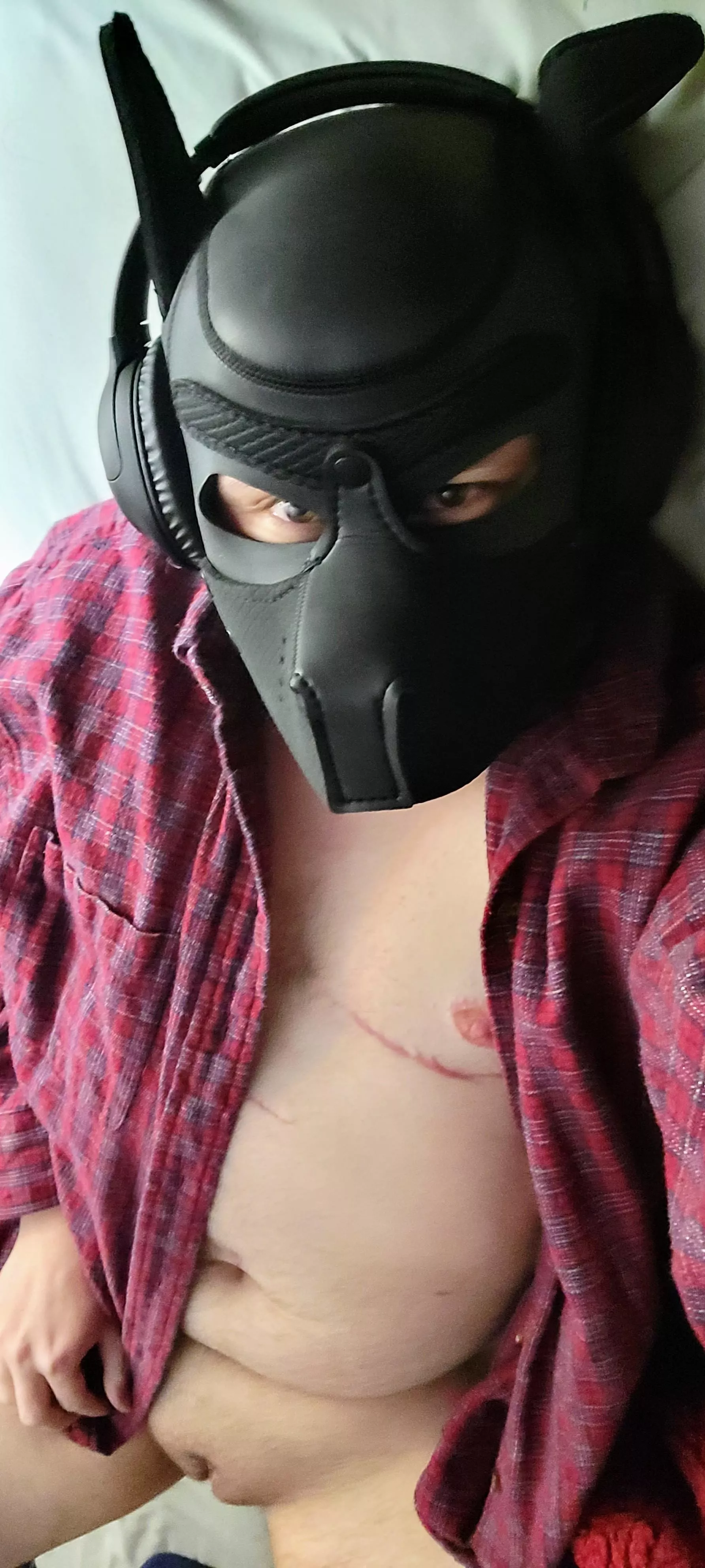 Wanna get ruff with this horny trans pup? (DMs welcome! ðŸ¥°)