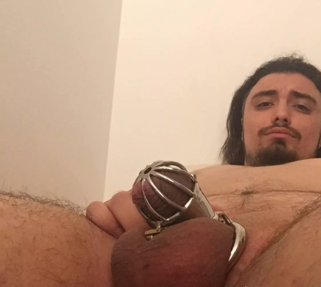 Watch this chastity slut, I won’t allow him to cum but he can fuck his slutty ass for me Comment yes, and i would give an extra day in chastity for him 🔐⛓