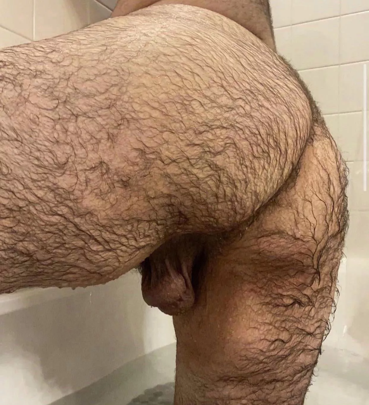 Wet and Hairy