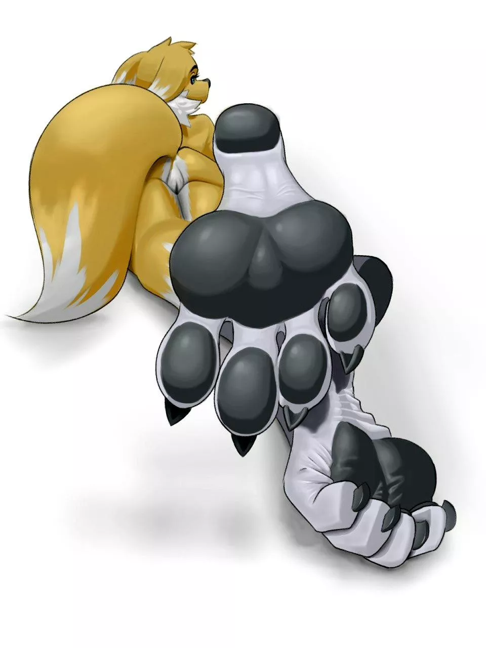 What a nice view from renamon's feet~