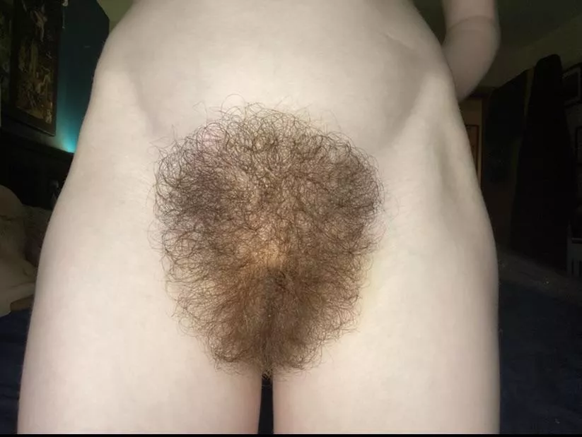 What do you think of my bush?