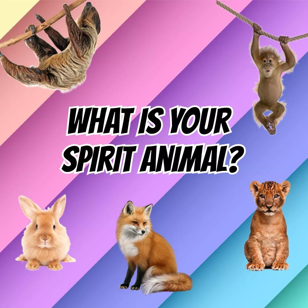 🦧🐆🐷🐮 what is your spirit animal? GO! 🦄🐯🐫🦏