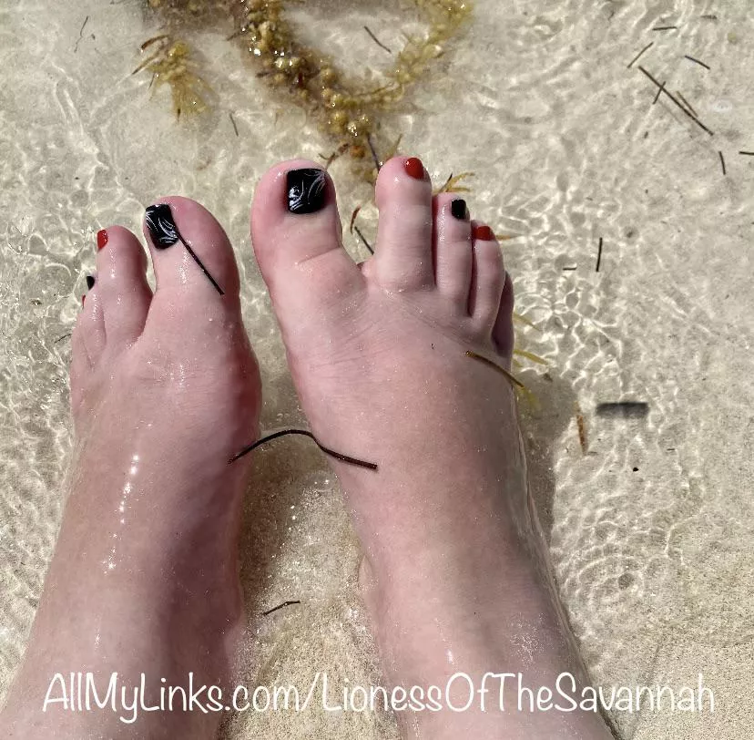 What would you do to my feet if you saw them playing in the water on the beach? 🌊🏝☀️ DM me! 😋