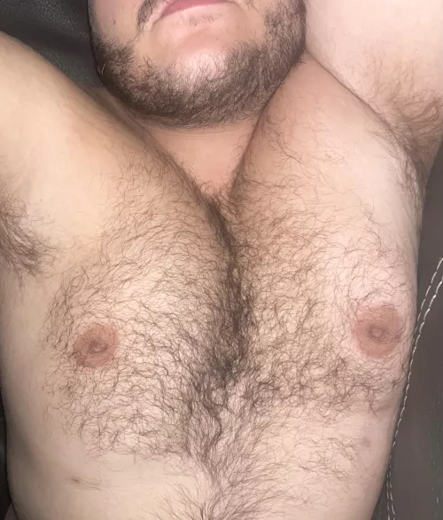 Hairy Chest Fetish