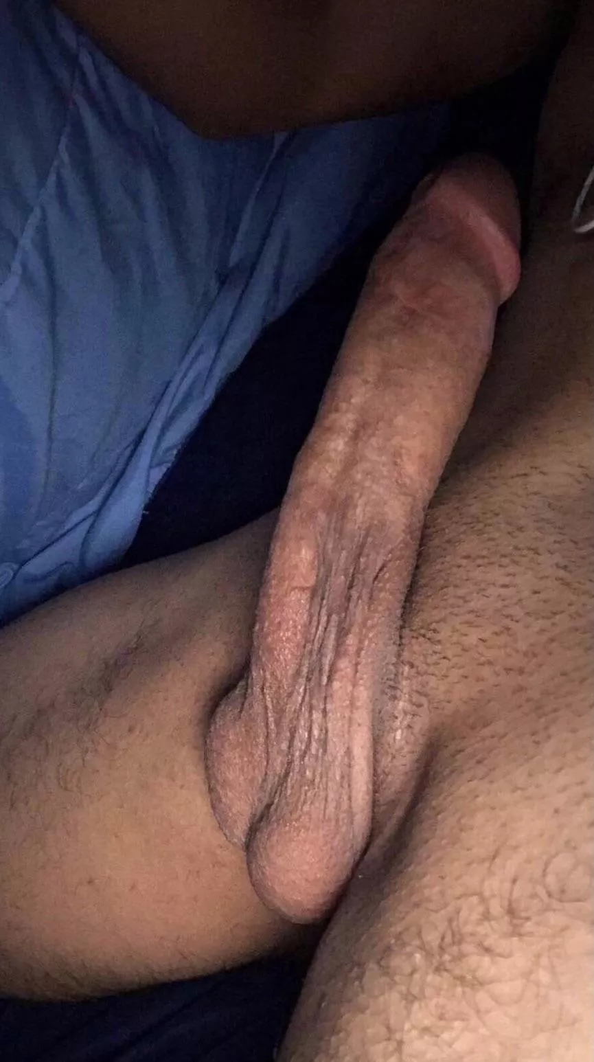 What would you rate my hard dick? 🙂