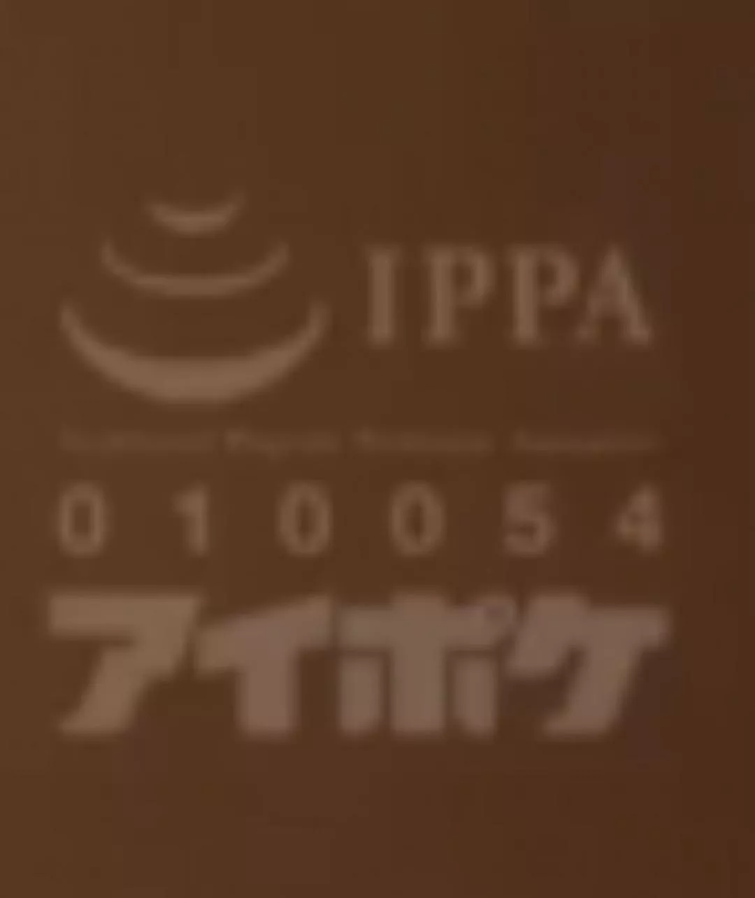 Whats this Jav studio? (under the ippa code)