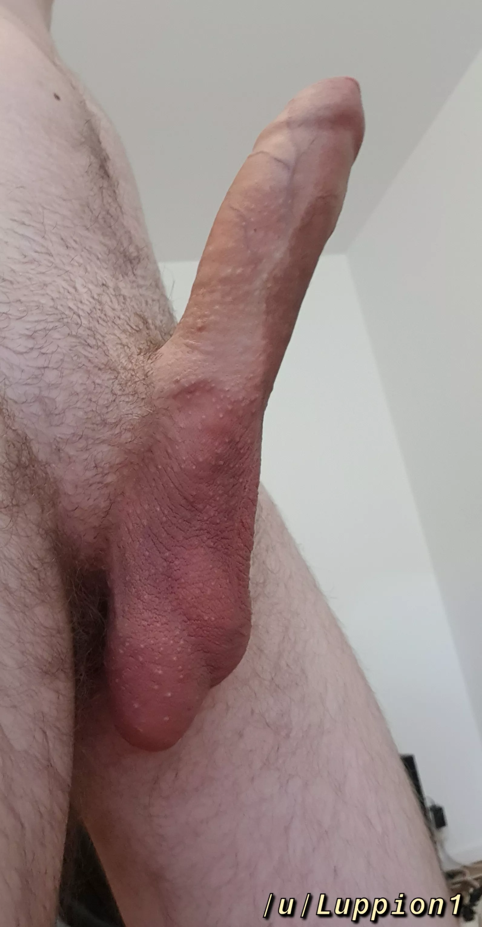 What's your favorite thing about my big cock? â¤ï¸