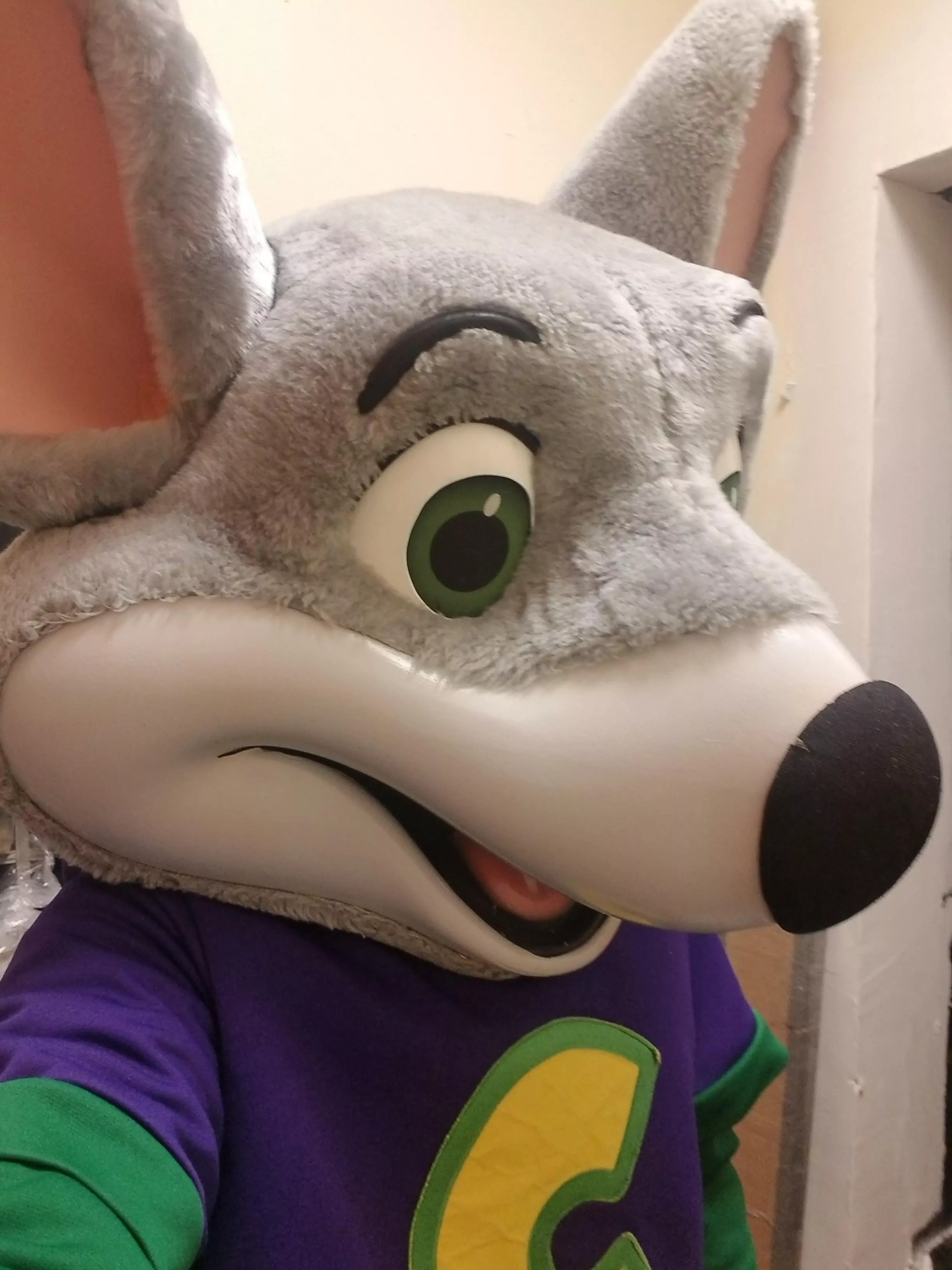 When everyone at work complains about being in a hot ass suit but you're a furry so you're use to it and step up for the job.